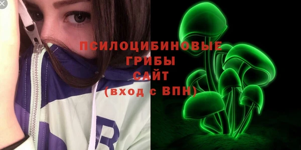 2c-b Гусь-Хрустальный