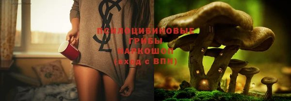 кокс Нягань