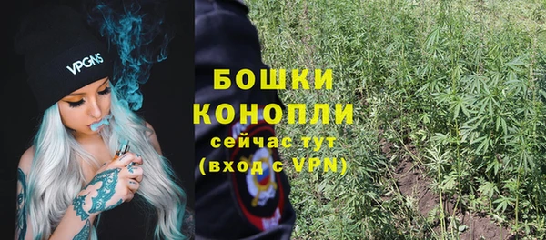 прущая мука Гусев